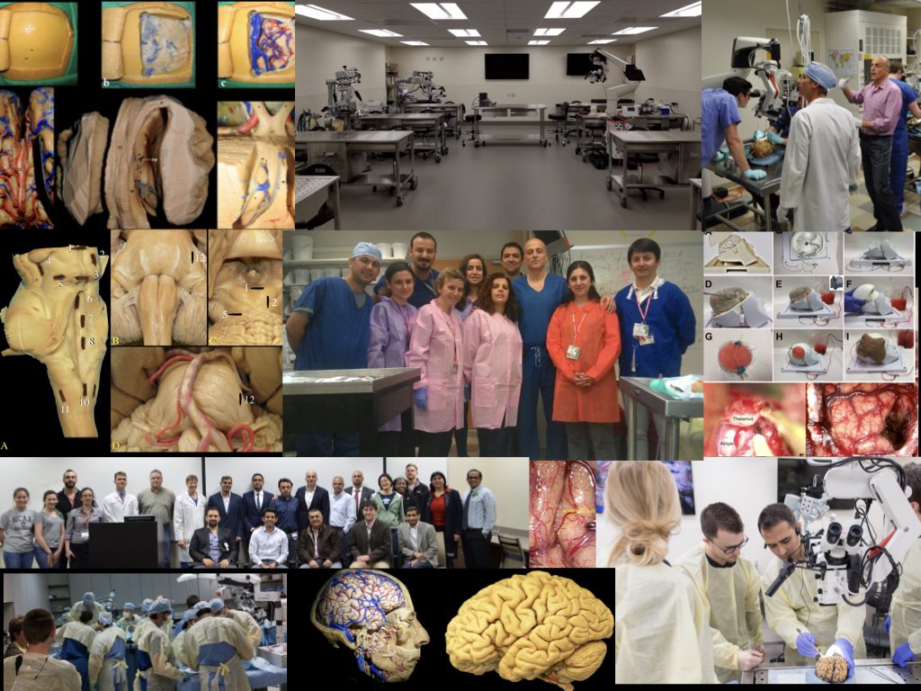 Baskaya Lab collage